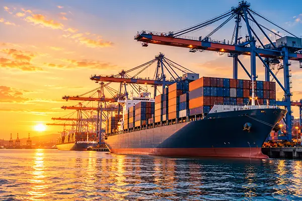 Shipping support from China